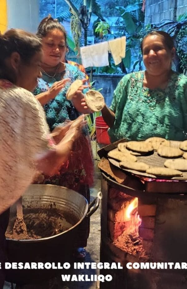 ASOCIACION DE dESARROLLO INTEGRAL COMUNITARIO INDIGENA 5 min 600x924