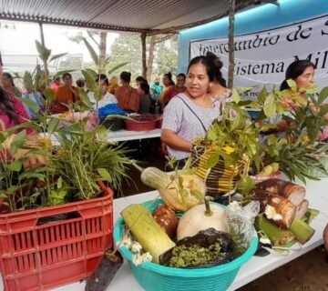 Intercambio 3 360x320