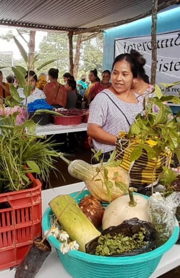 Intercambio 3 600x924