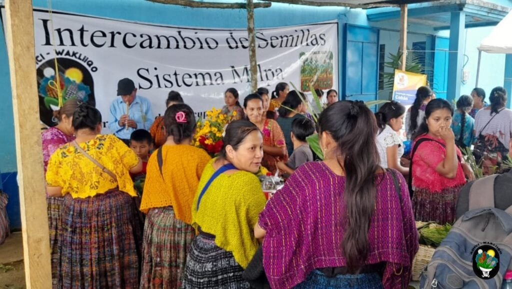 Intercambio 8 1024x577