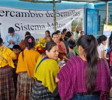 Intercambio 8 360x320